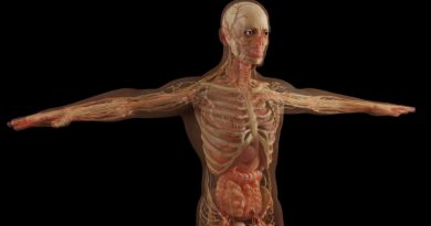 Kako prirodno očistiti debelo crijevo slanom vodom i poboljšati probavu