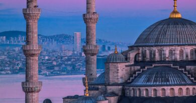 Kako Fahrije Evcen održava mladolik izgled: navike, ishrana i popularni čaj od četiri sastojka