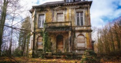 Stari dušek koji niko nije htio: kako je unuka otkrila skriveno nasljeđe i važnu životnu lekciju