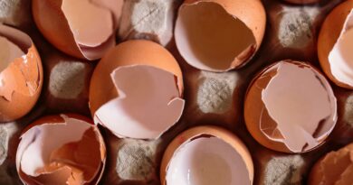 Ne bacajte ljuske od jaja: 13 pametnih načina da ih iskoristite u domu i vrtu